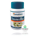 Boswellia  