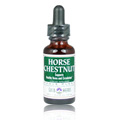 Horse Chestnut Extract  