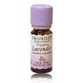 Lavender Essential Oil Organic  