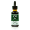Olive Leaf Organic  